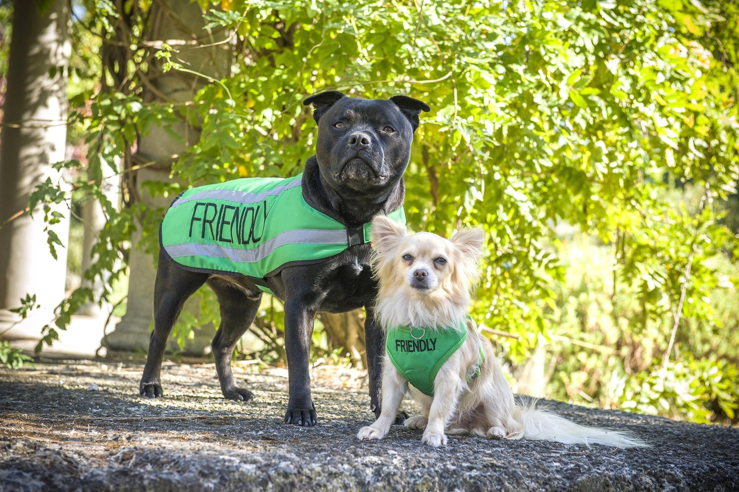 Dog Coats S M XL Warm Reflective Waterproof Fleece Lined by Friendlydogcol