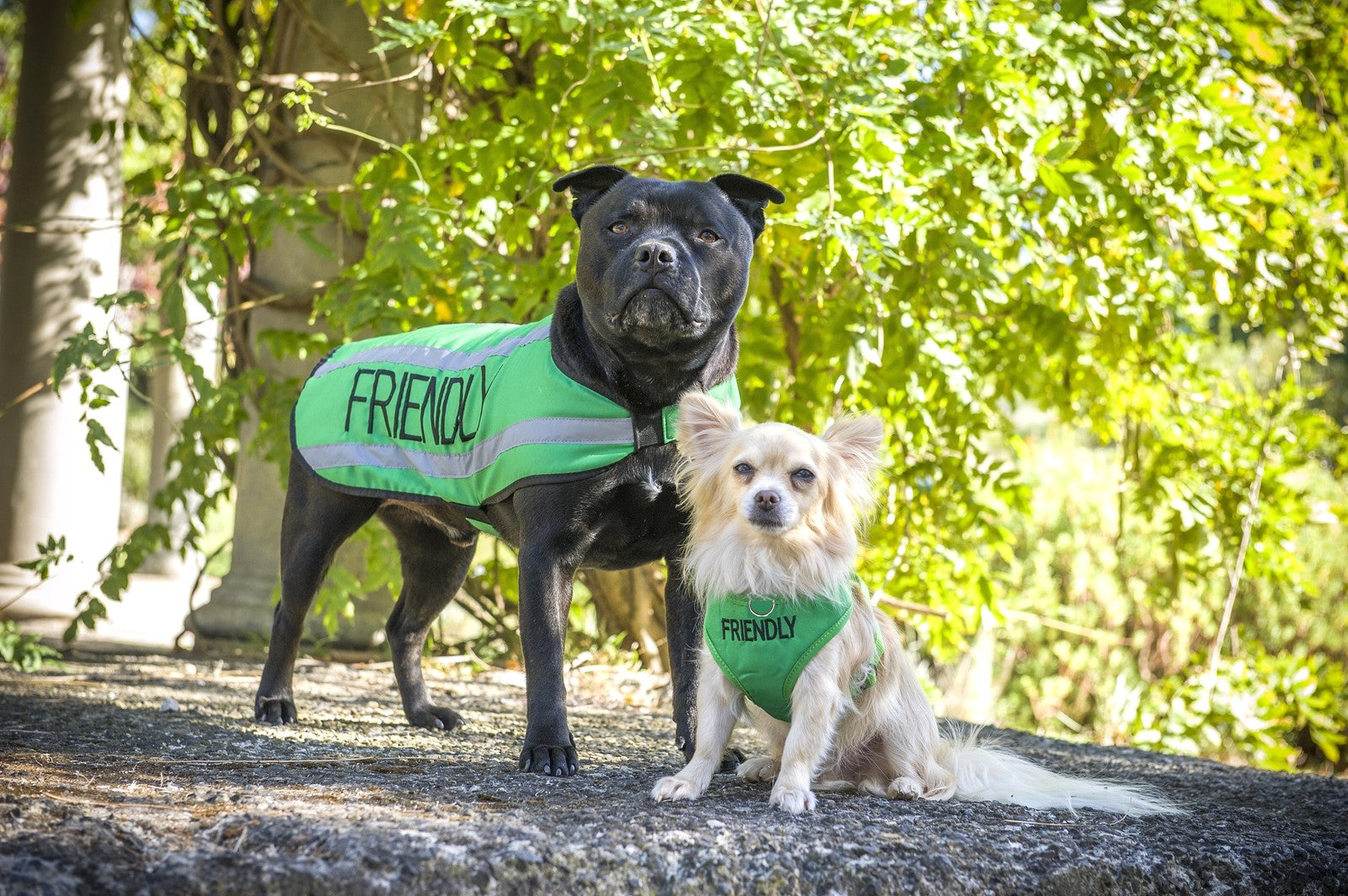Dog Coats S M XL Warm Reflective Waterproof Fleece Lined by Friendlydogcol