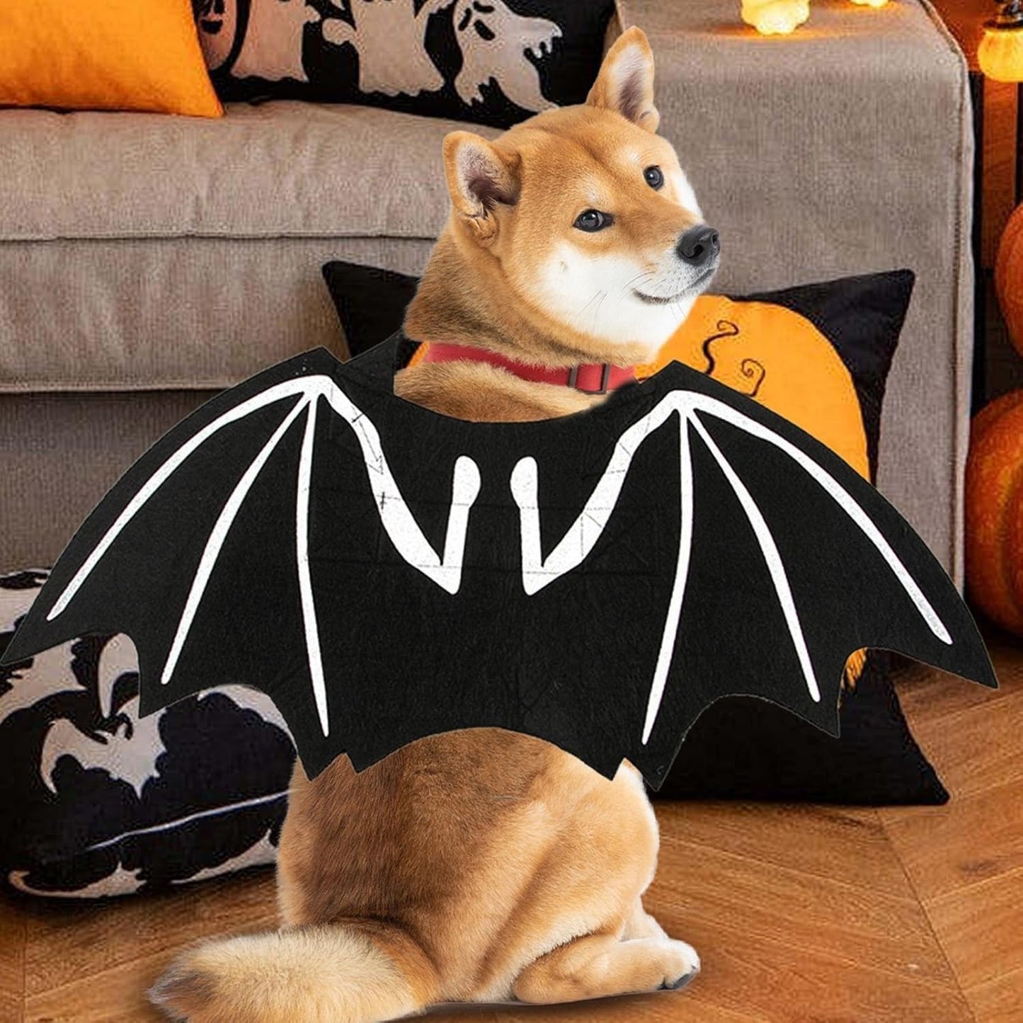 Bat Wings Dog Costume, Glow in the Dark Pet Cosplay Outfit, Halloween or Party