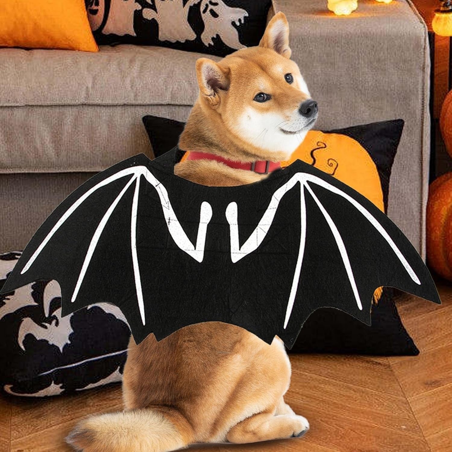 Bat Wings Dog Costume, Glow in the Dark Pet Cosplay Outfit, Halloween or Party